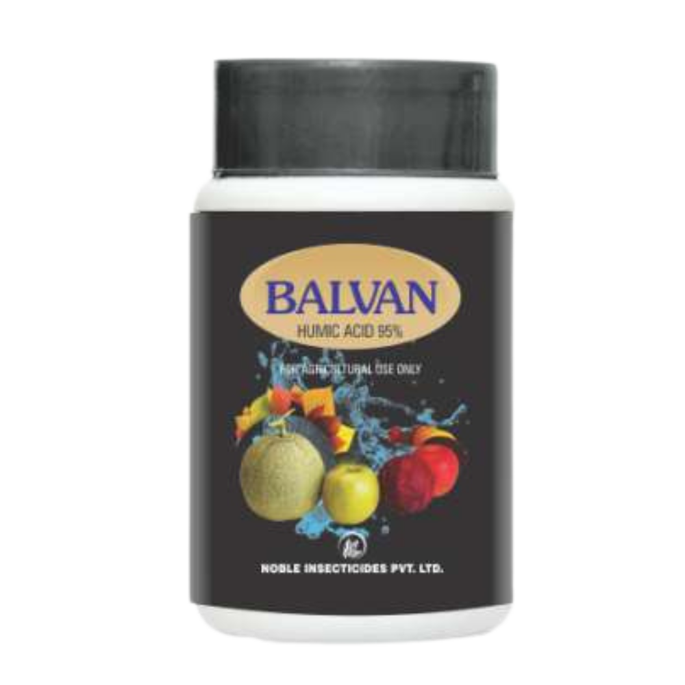 balvan